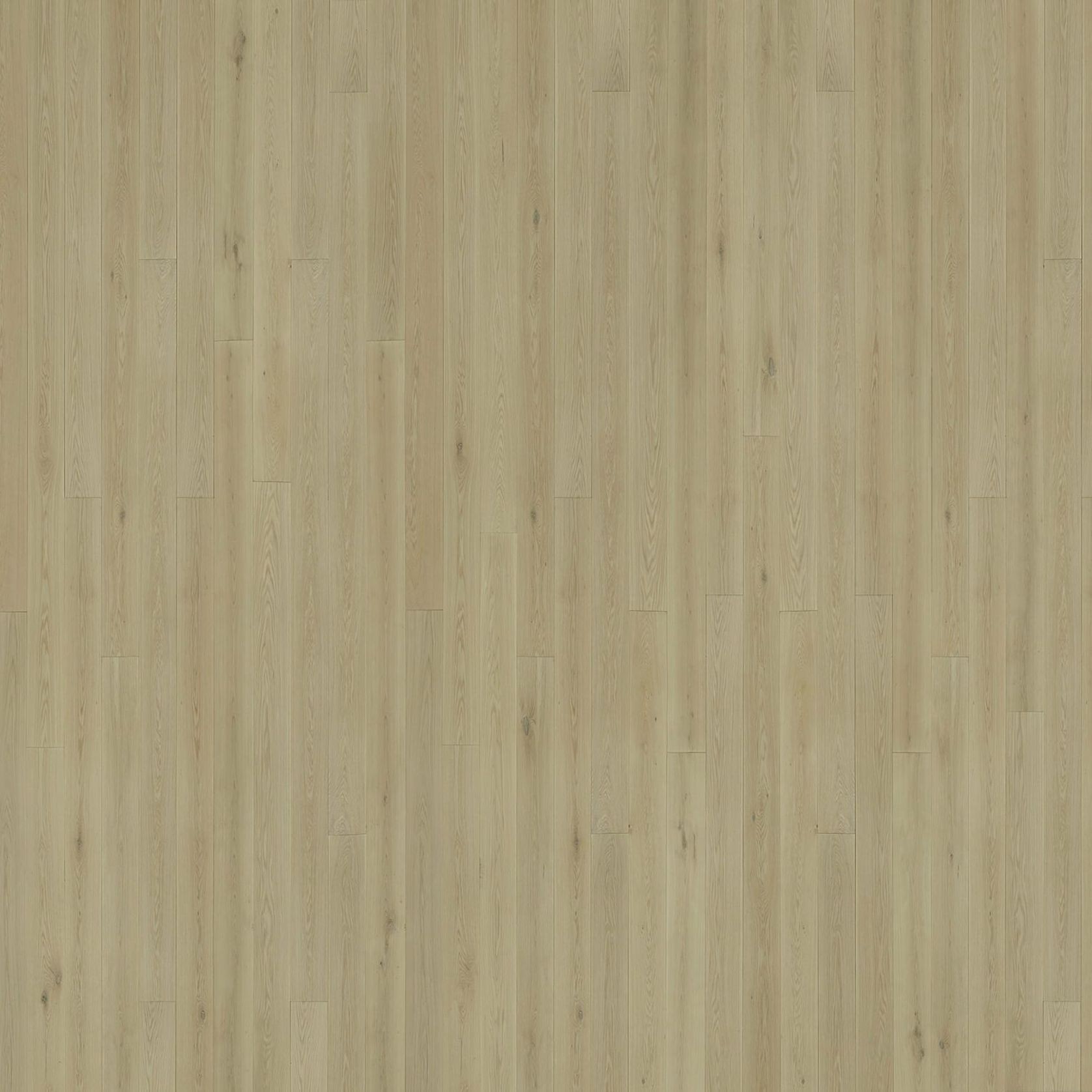 Bistre | Solid European Oak Floor Boards gallery detail image