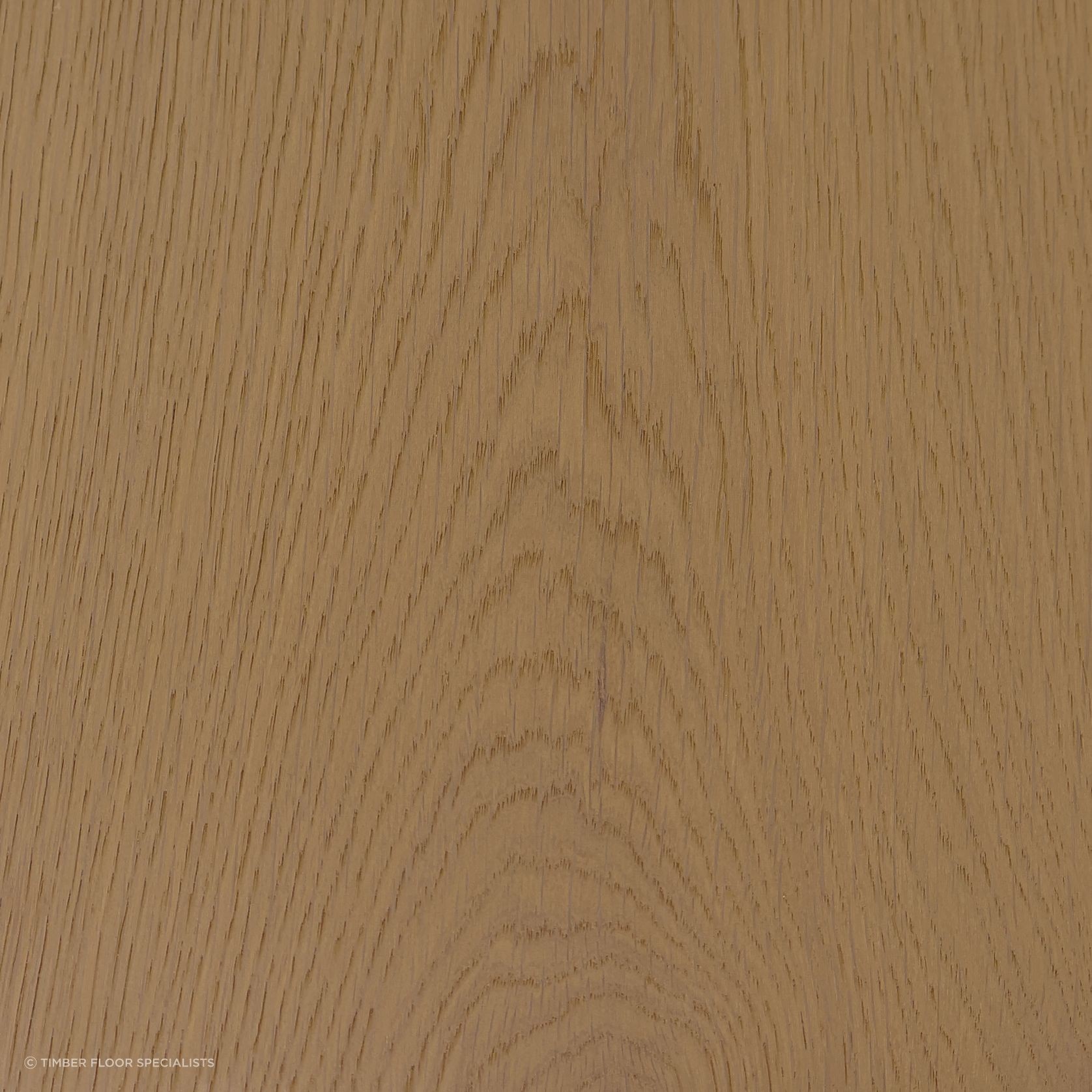 Macaroon gallery detail image