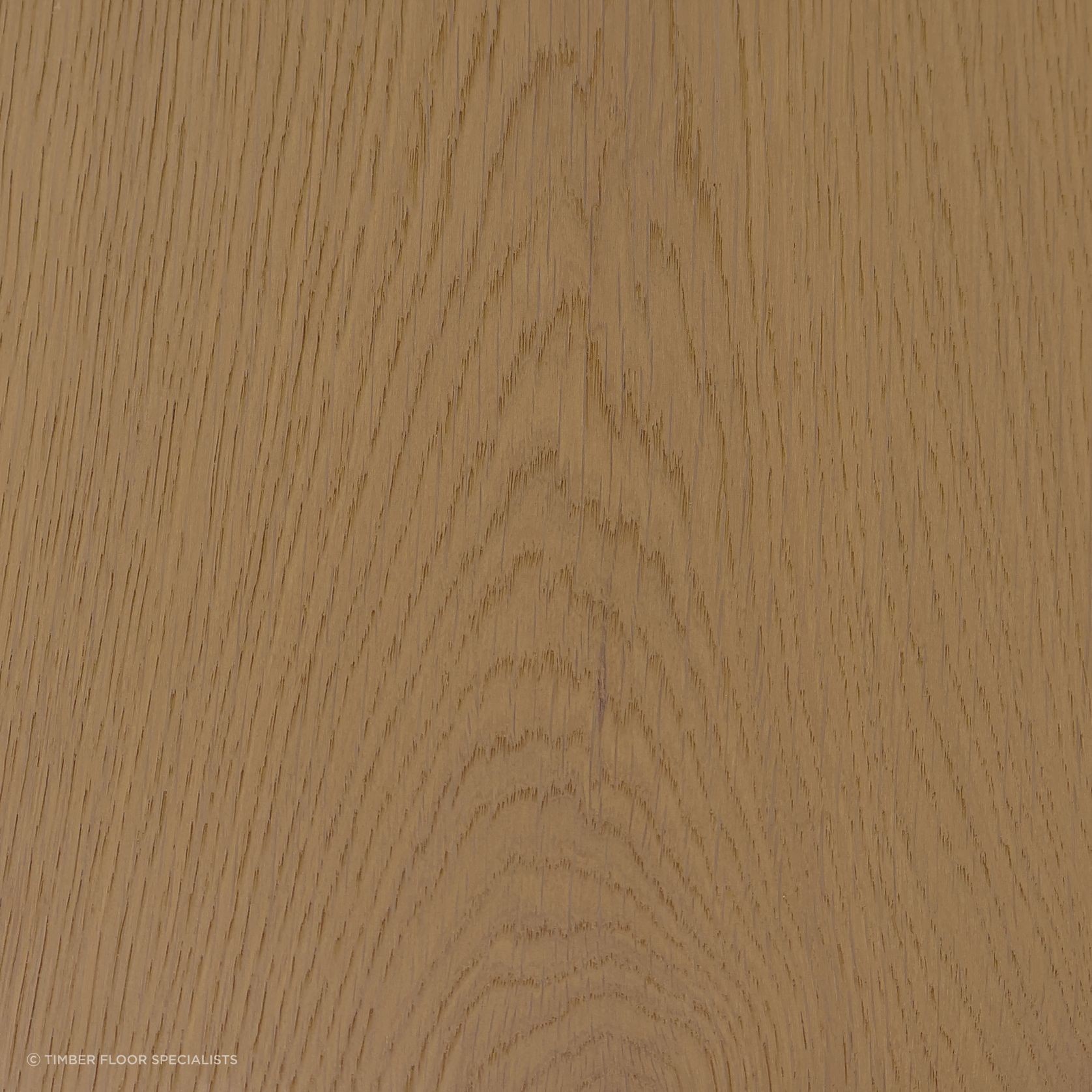 Macaroon gallery detail image