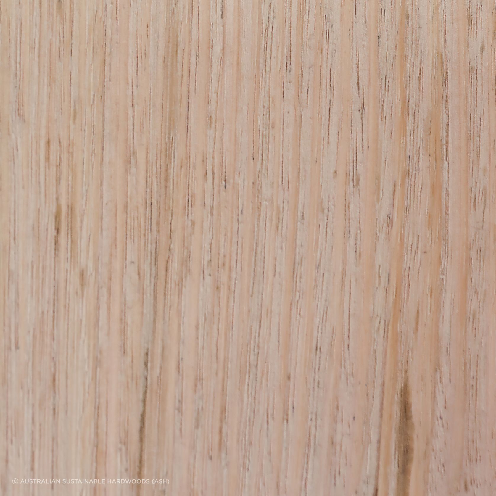 IronAsh External Timber gallery detail image