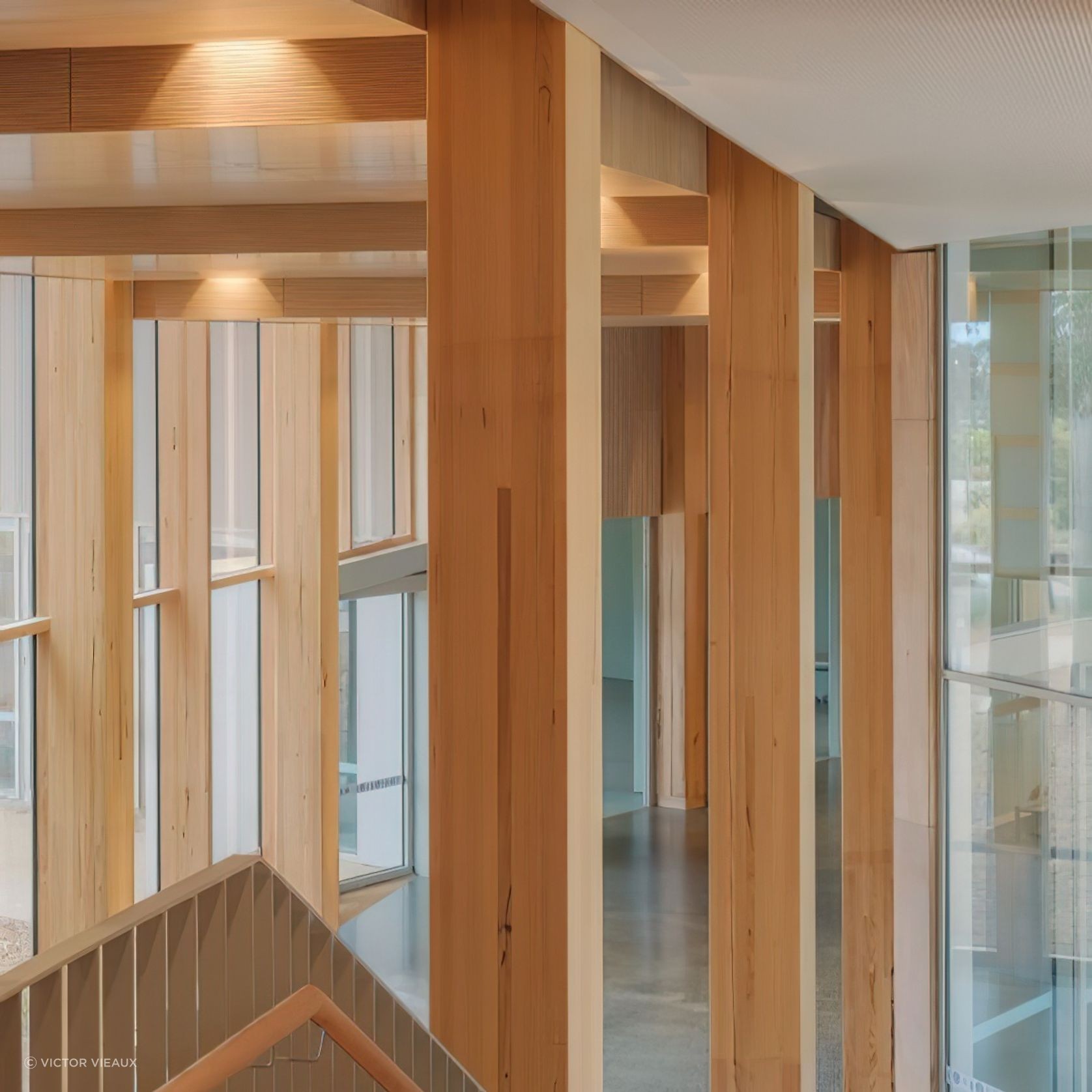 Mass Timber gallery detail image