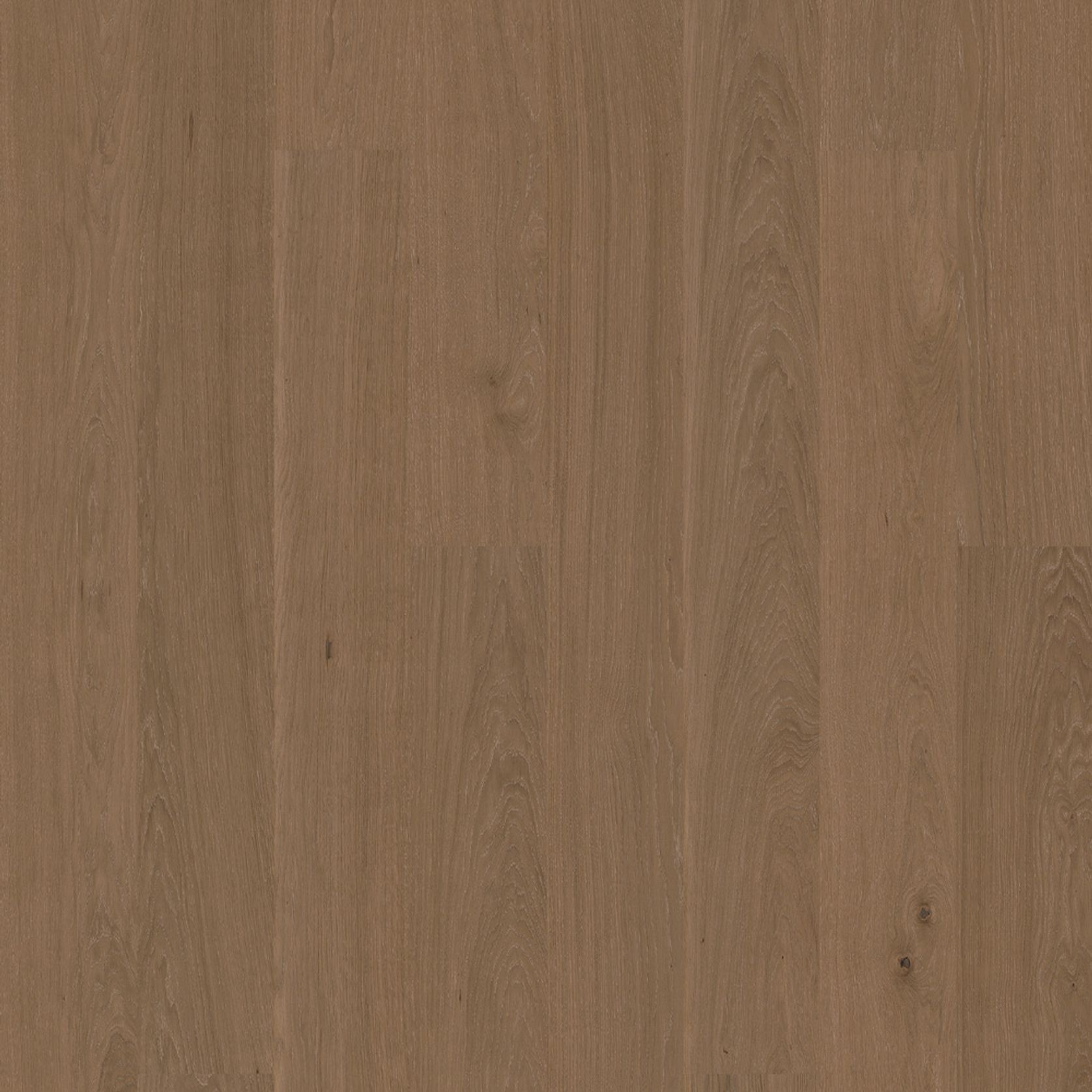 Bjelin XL Contrast Desert | Nature Grade gallery detail image