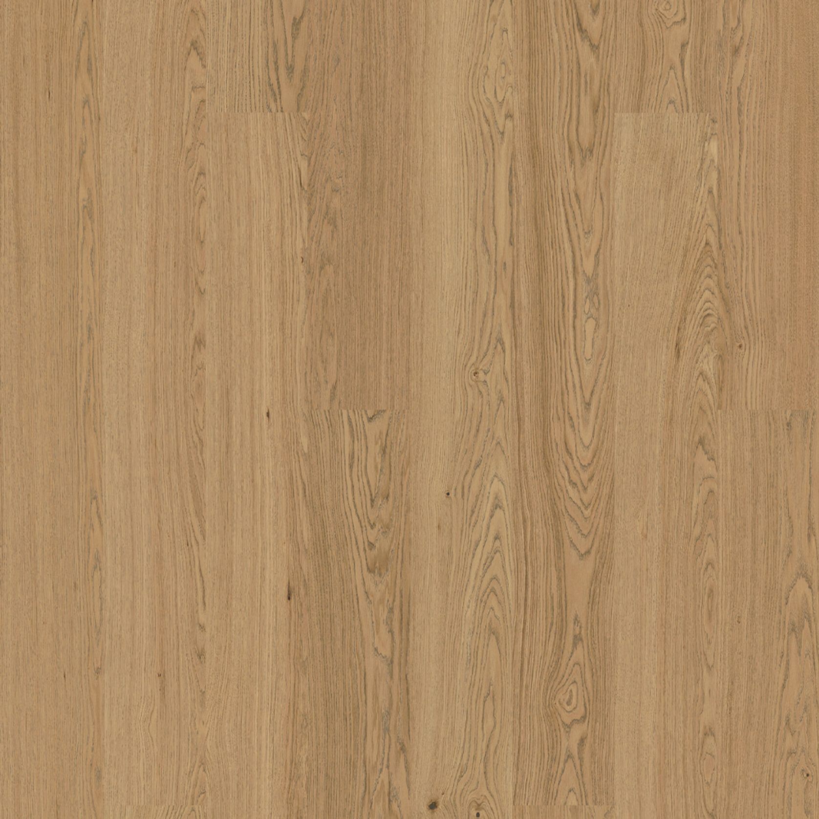 Bjelin XL Contrast Granite | Nature Grade gallery detail image