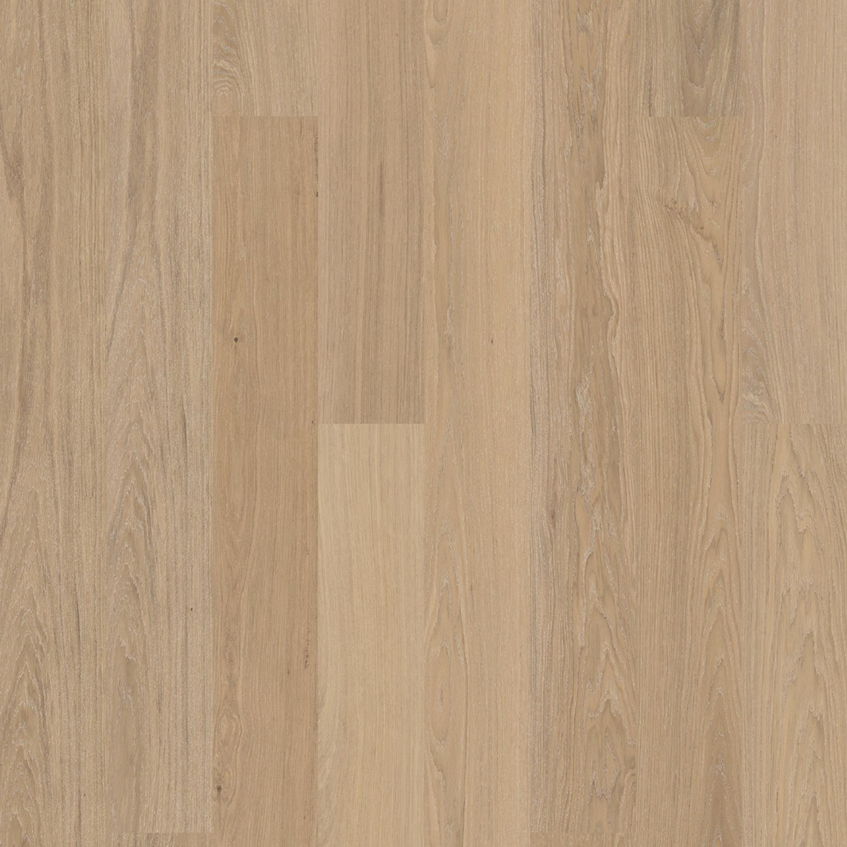 Bjelin XL Contrast Ivory | Nature Grade gallery detail image