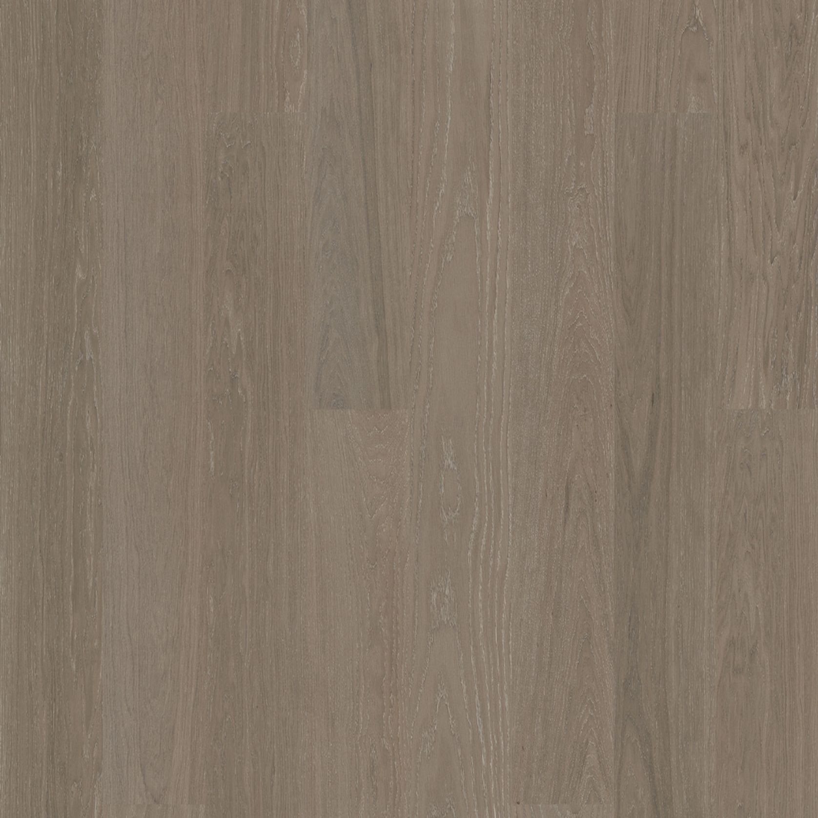 Bjelin XL Contrast Silver | Nature Grade gallery detail image