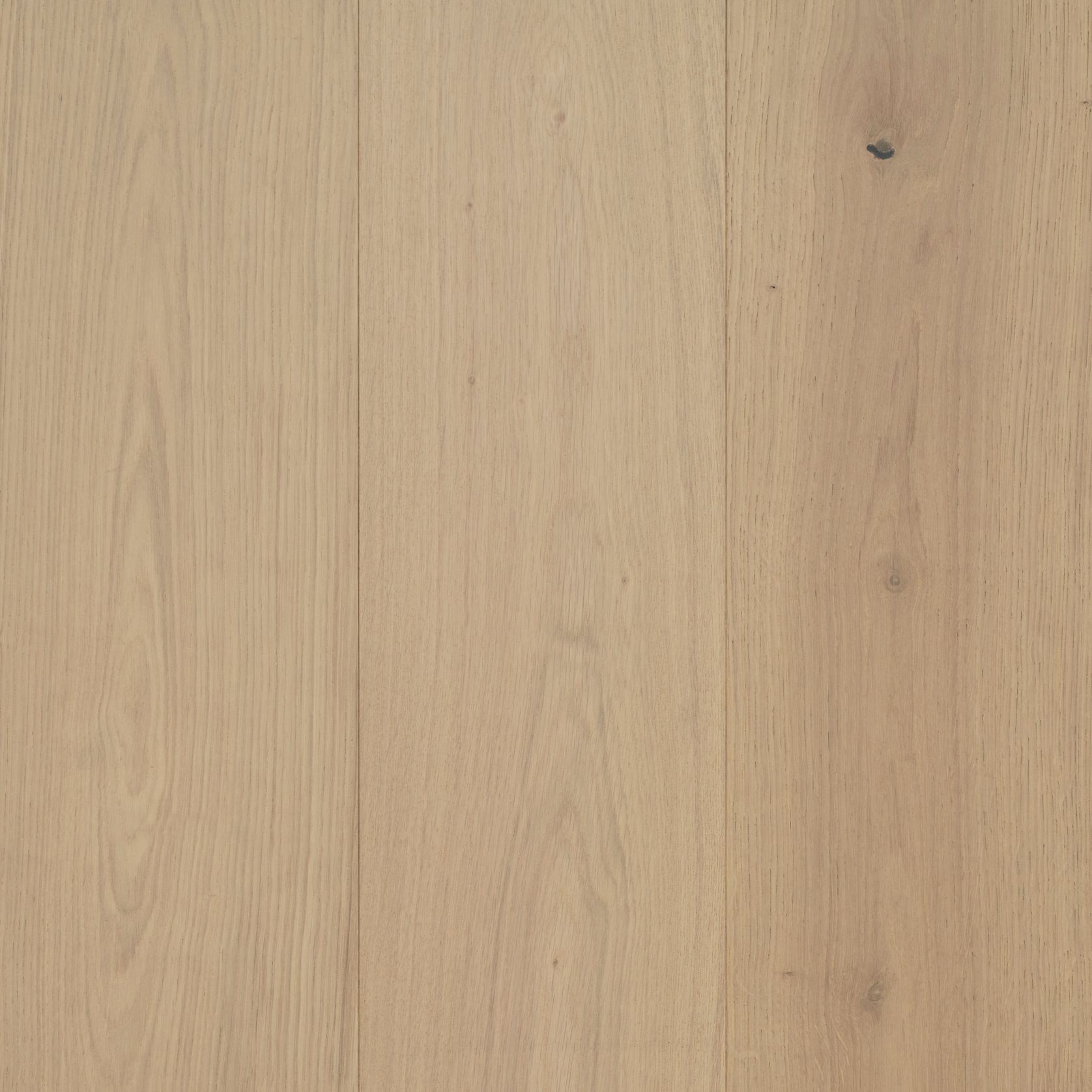 AST GrandOak - Timber Flooring - Nobel - Camelot Oak gallery detail image