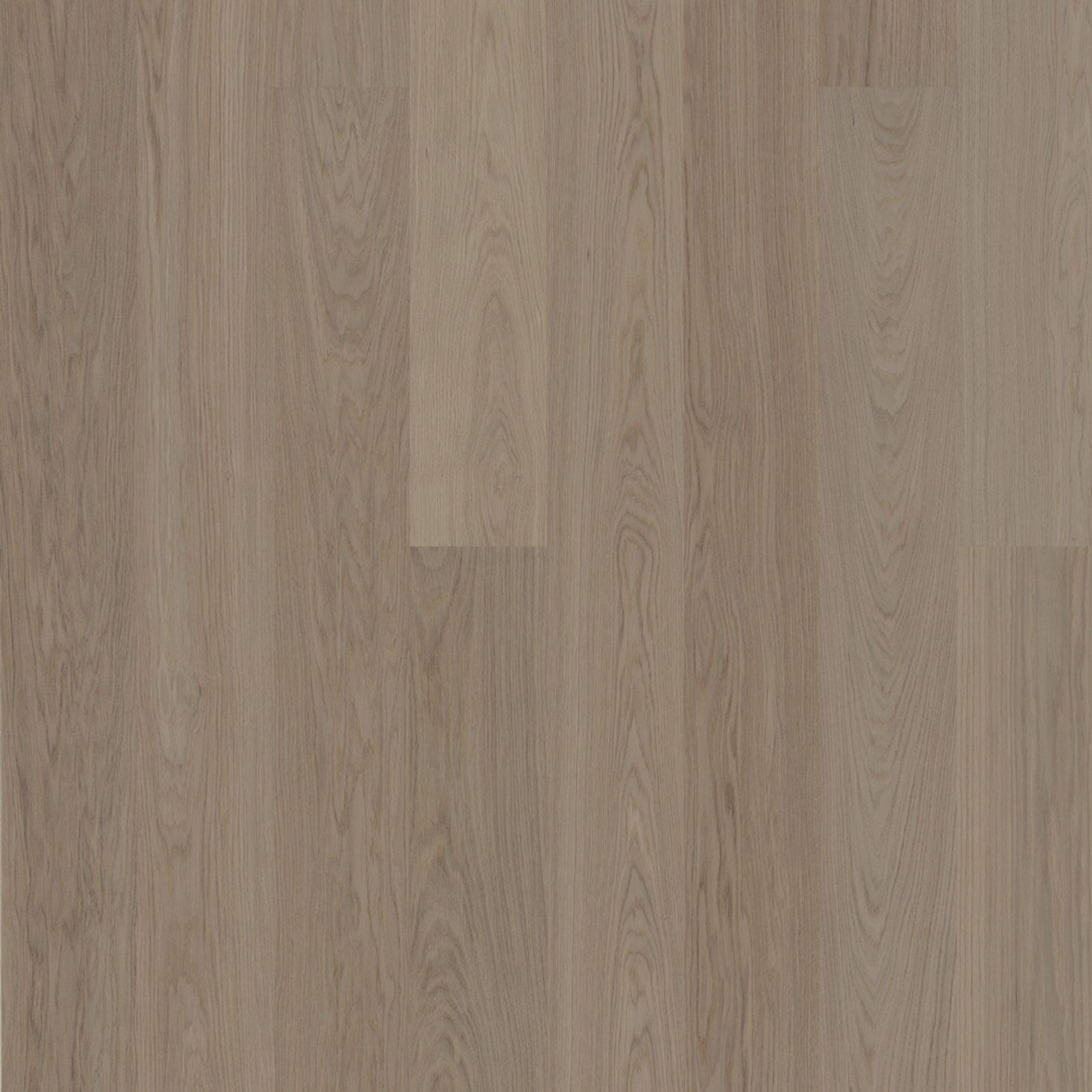 Bjelin L 180 Earth Grey | Select Grade gallery detail image