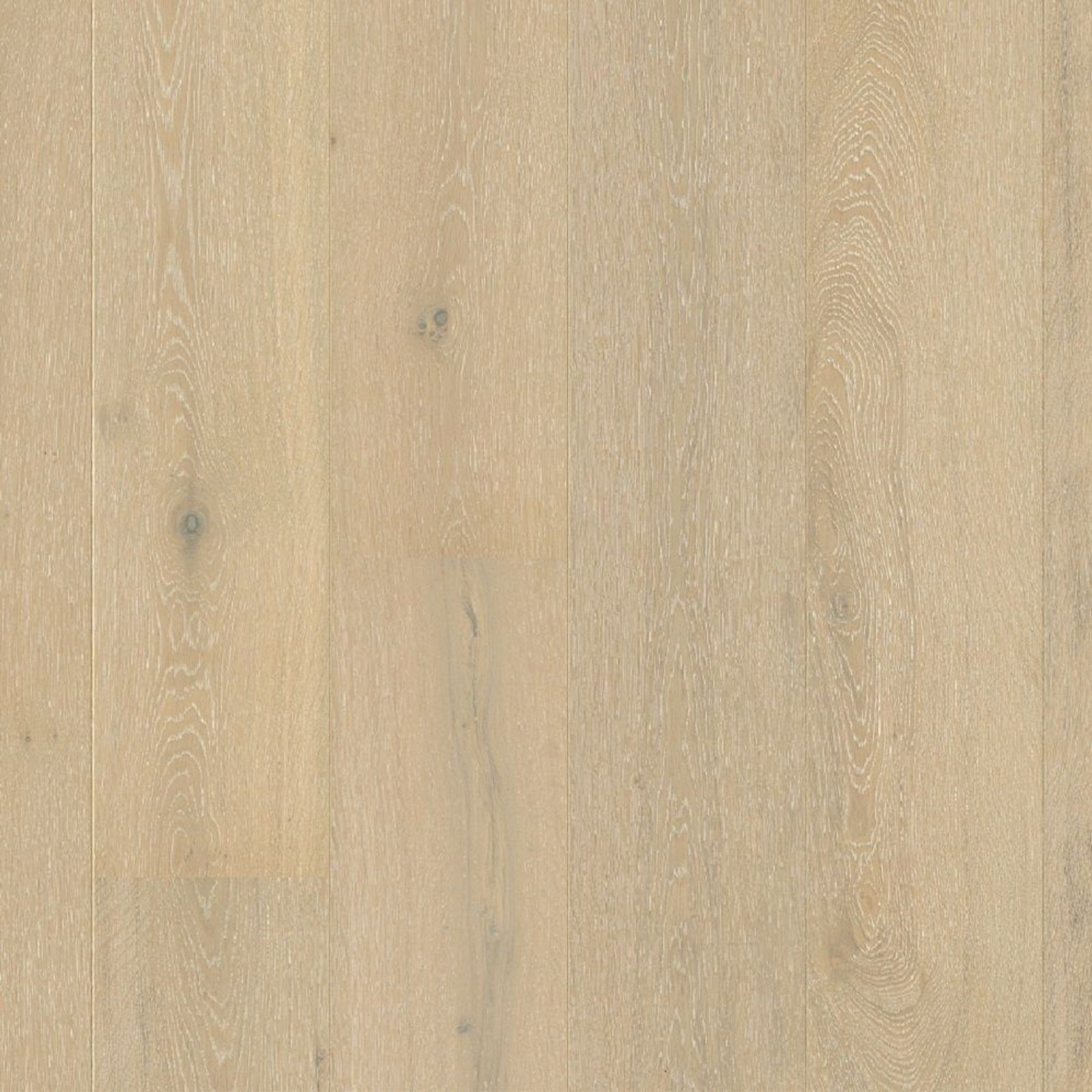 Quick-Step Faro Frozen Oak Extra Matt Timber Flooring gallery detail image