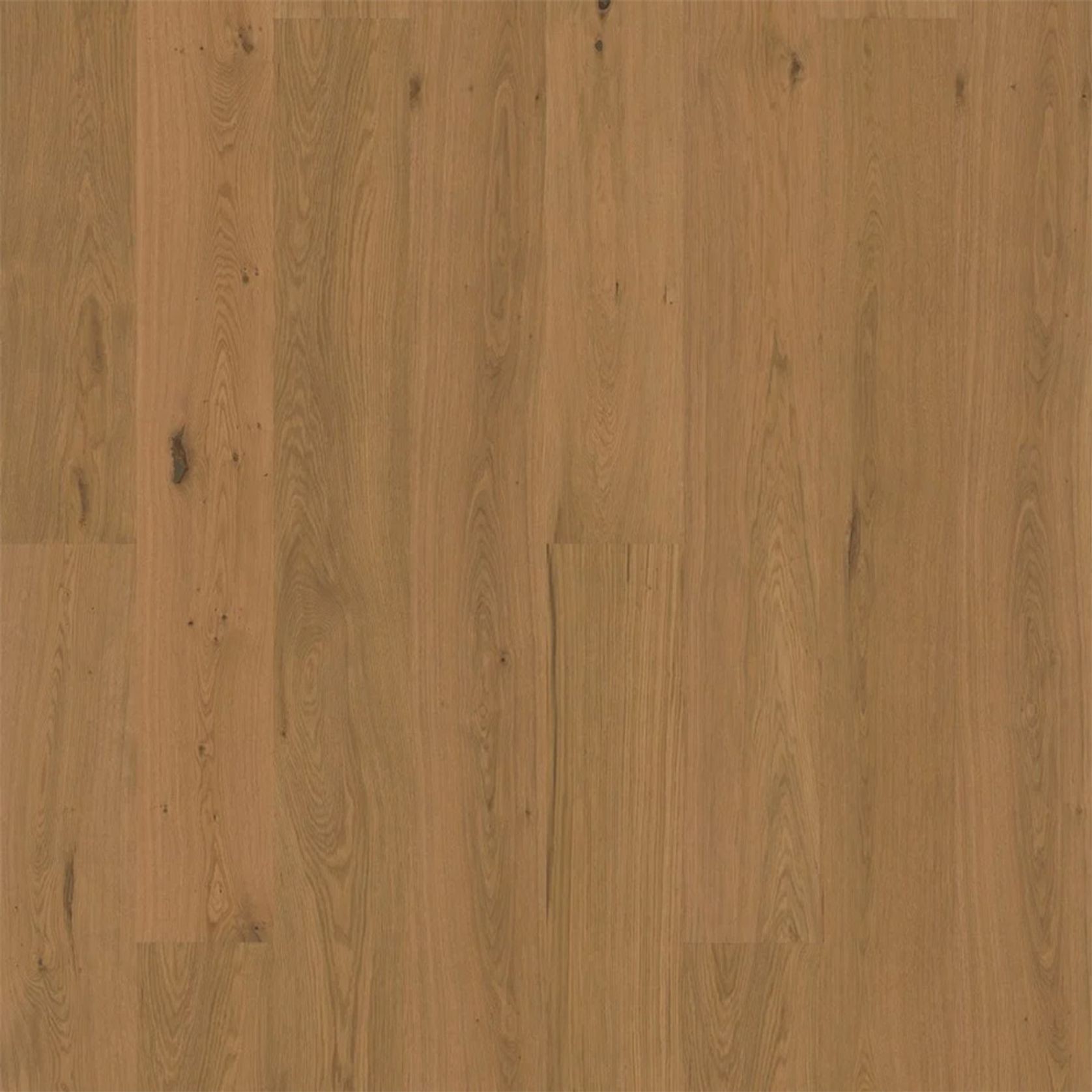 Bjelin XL 206 Honey | Nature Grade gallery detail image