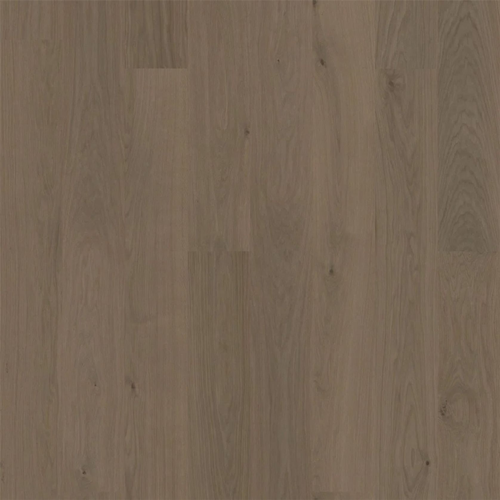 Bjelin XL 206 Mineral Grey | Nature Grade gallery detail image