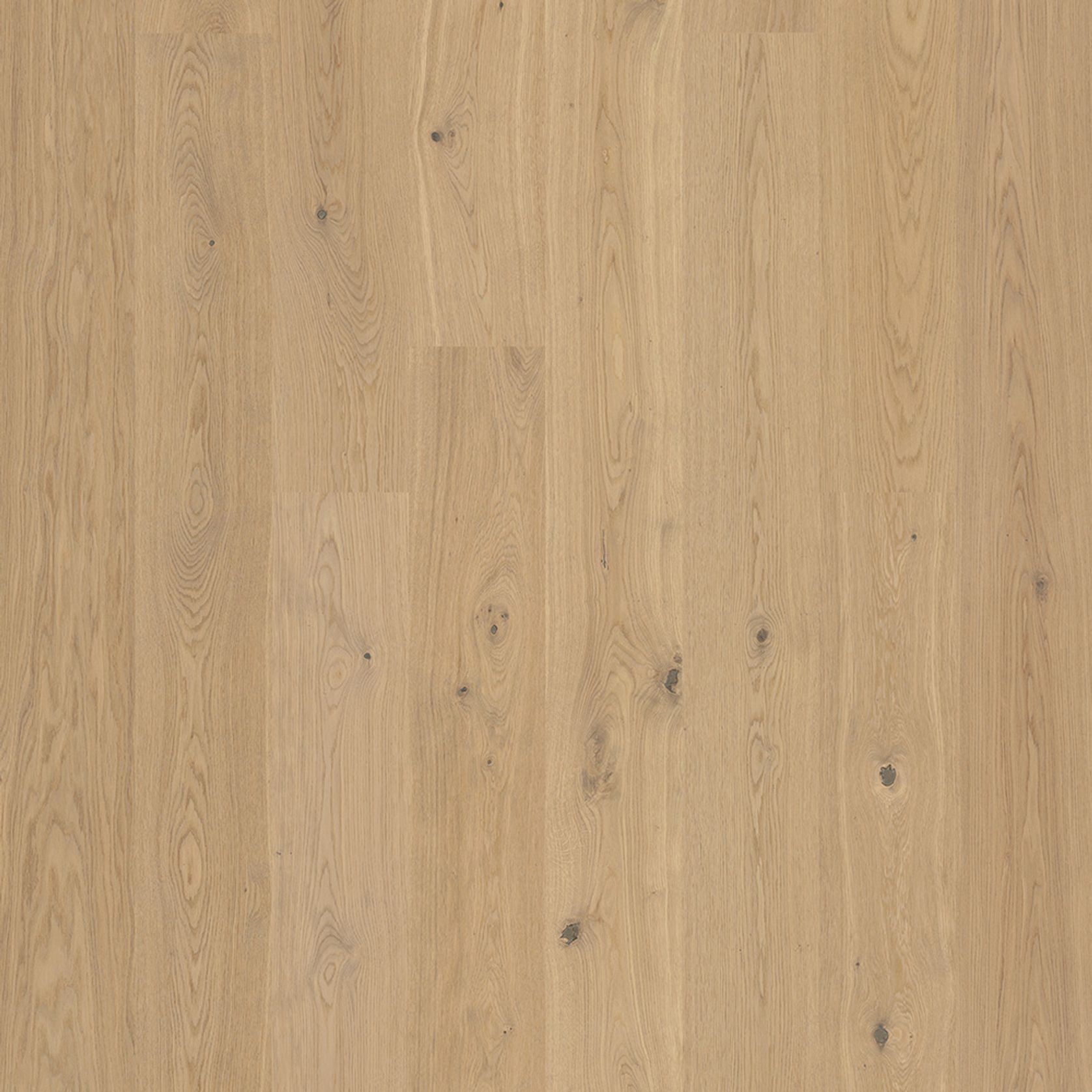 Bjelin L 180 Misty White | Nature Grade gallery detail image