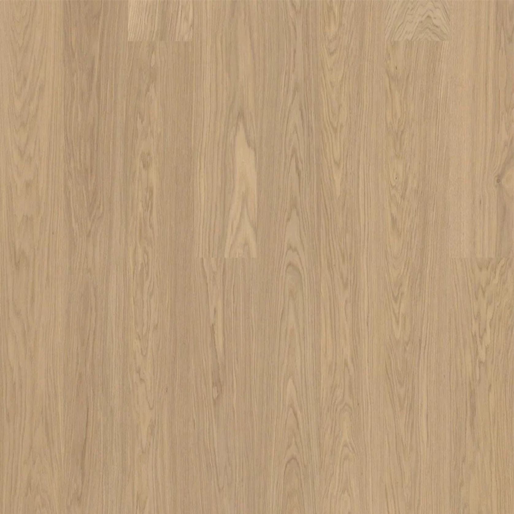 Bjelin XL 206 Misty White | Select Grade gallery detail image