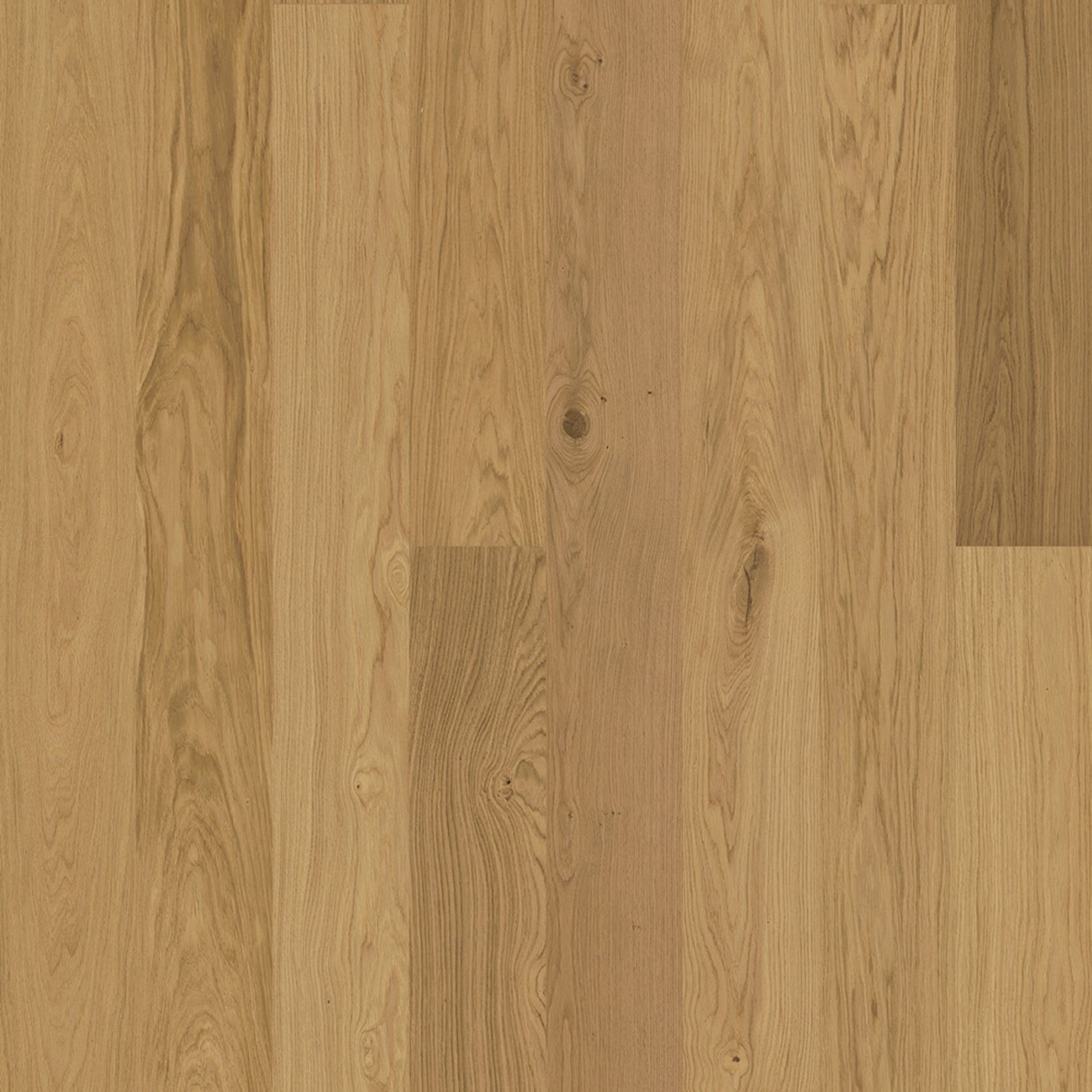 Bjelin M 151 Natural Oak | Blend gallery detail image