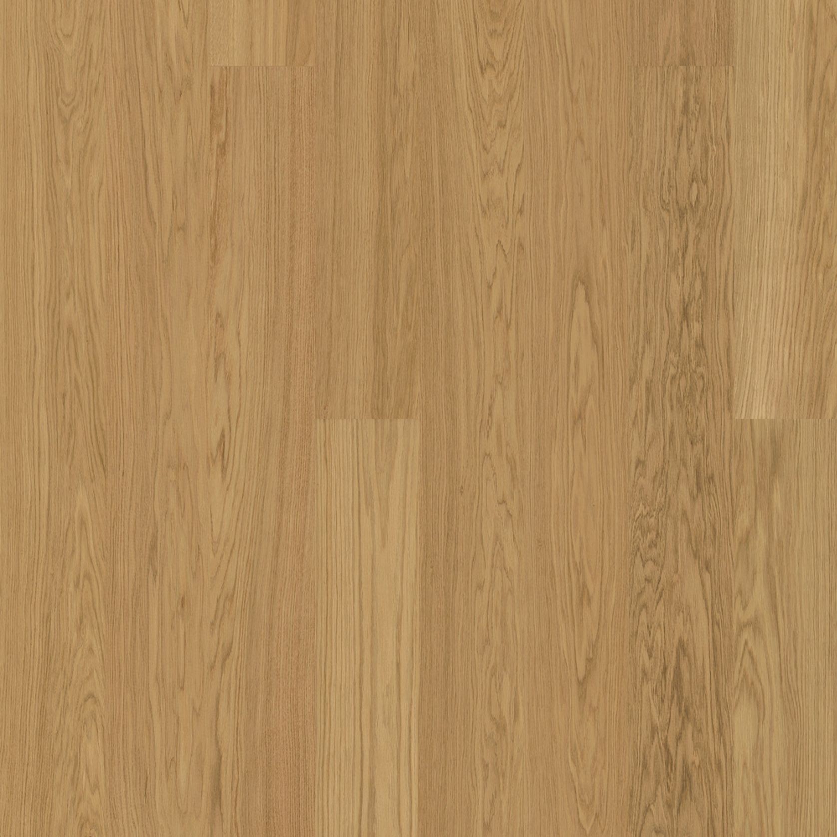 Bjelin XL 206 Natural | Select Grade gallery detail image