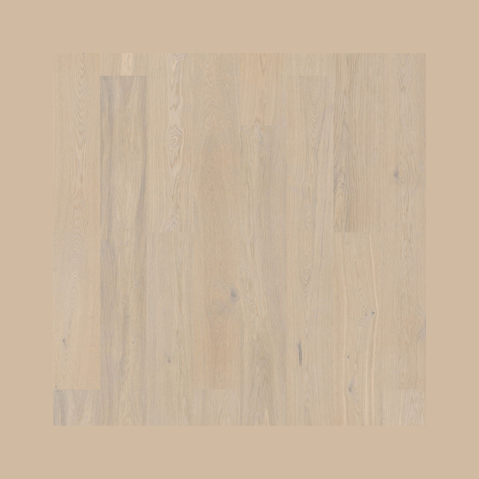 Bjelin S 151 Powder White | Blend gallery detail image
