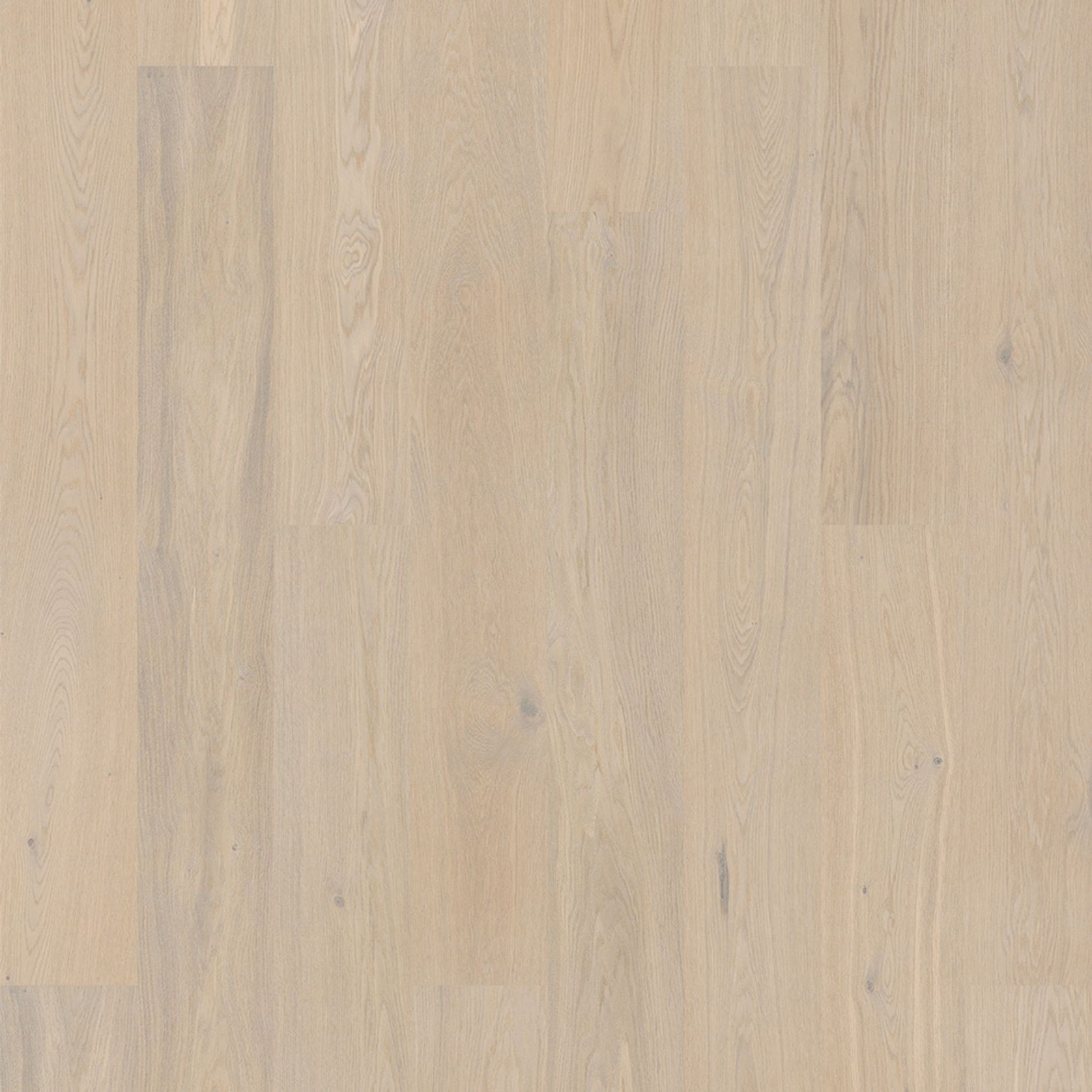 Bjelin S 151 Powder White | Blend gallery detail image