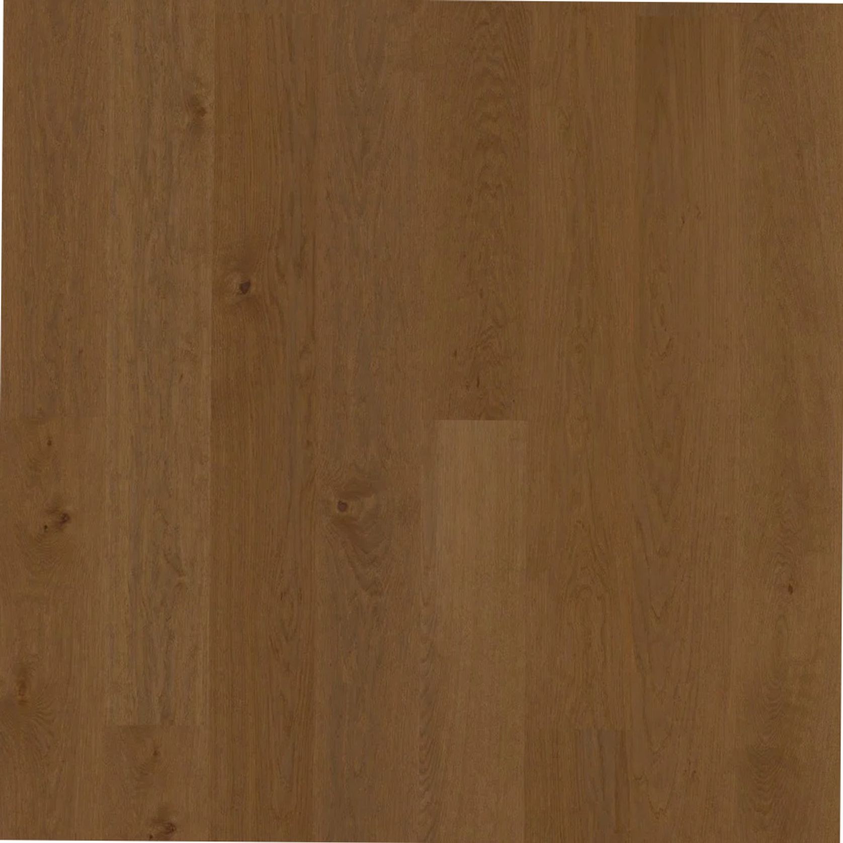 Bjelin XL 206 Shadow Brown | Nature Grade gallery detail image