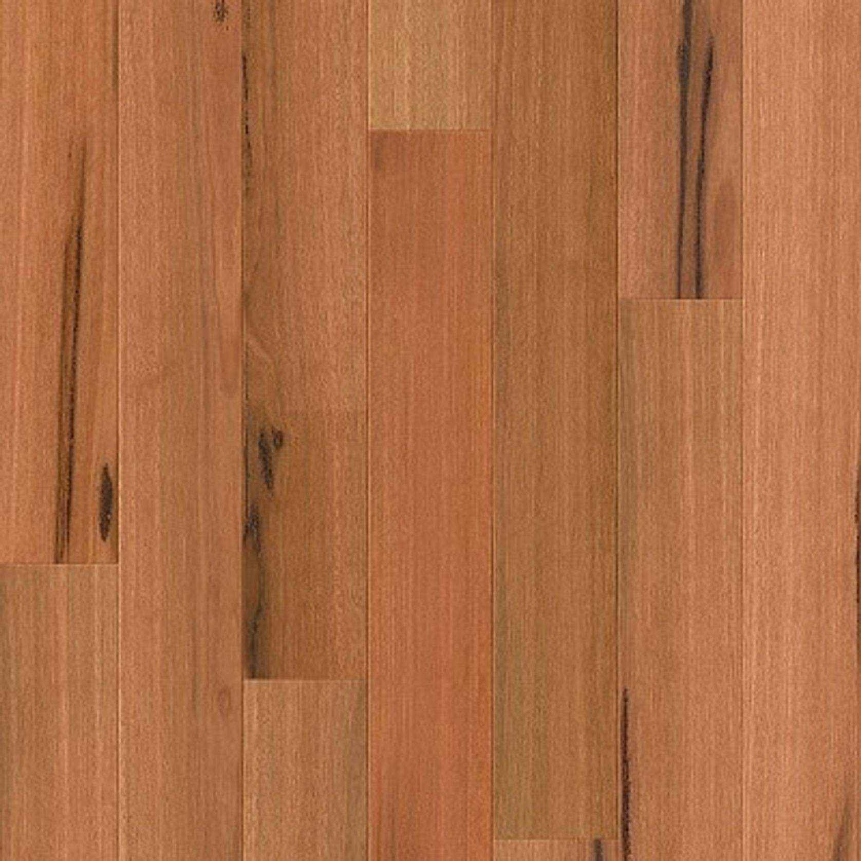 Compact gallery detail image