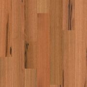 Compact gallery detail image