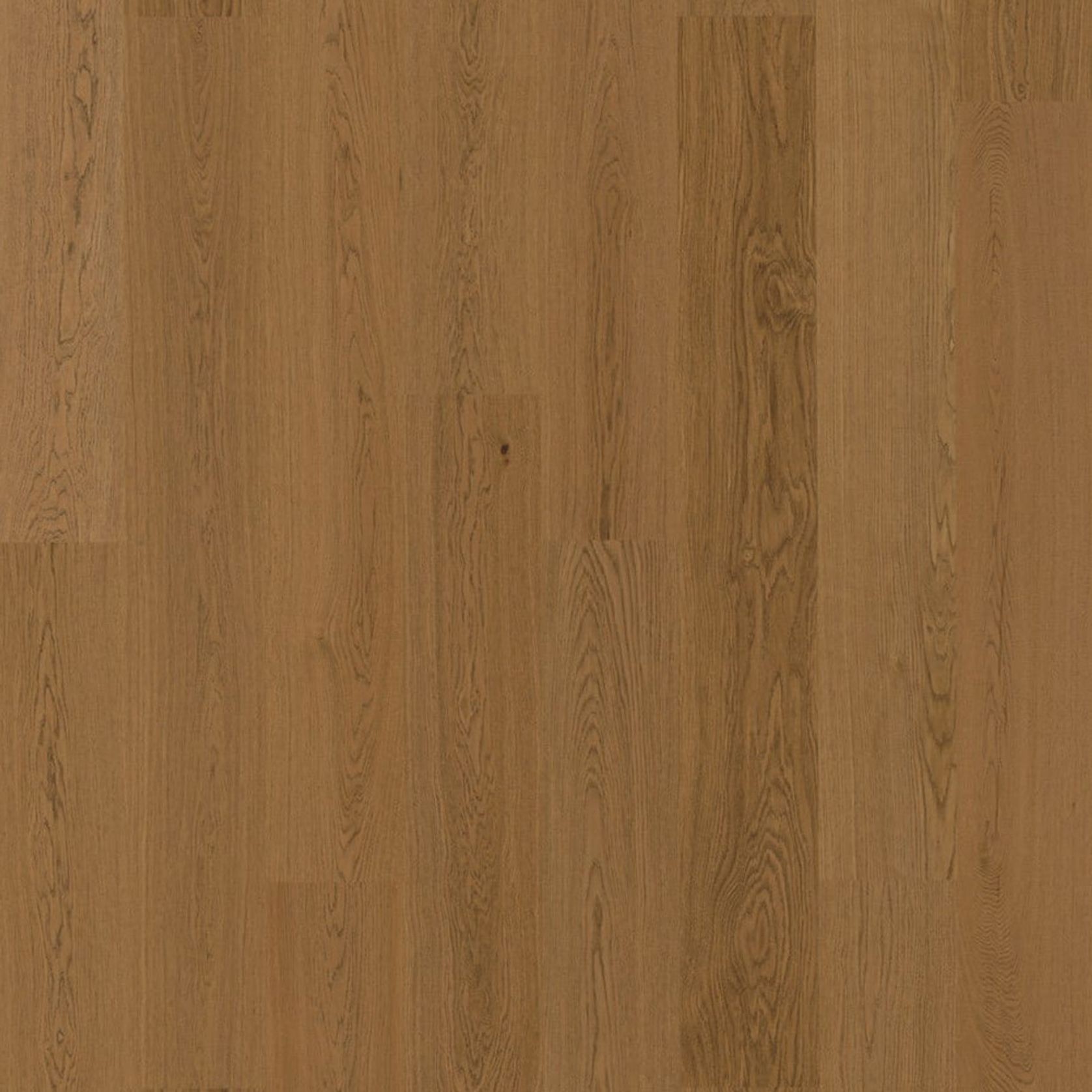 Bjelin M 151 Terra Brown Oak | Blend gallery detail image
