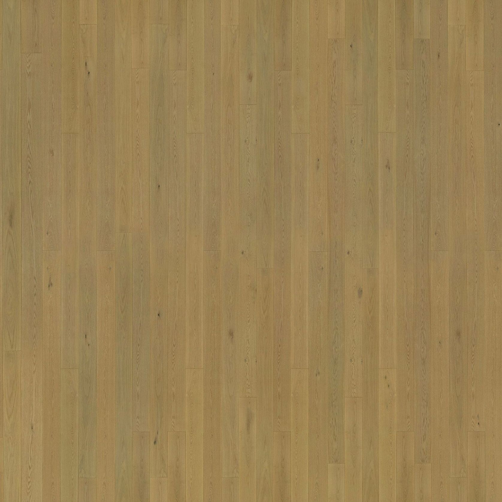 Graupa | Solid European Oak Floor Boards gallery detail image