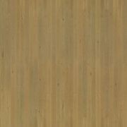Graupa | Solid European Oak Floor Boards gallery detail image