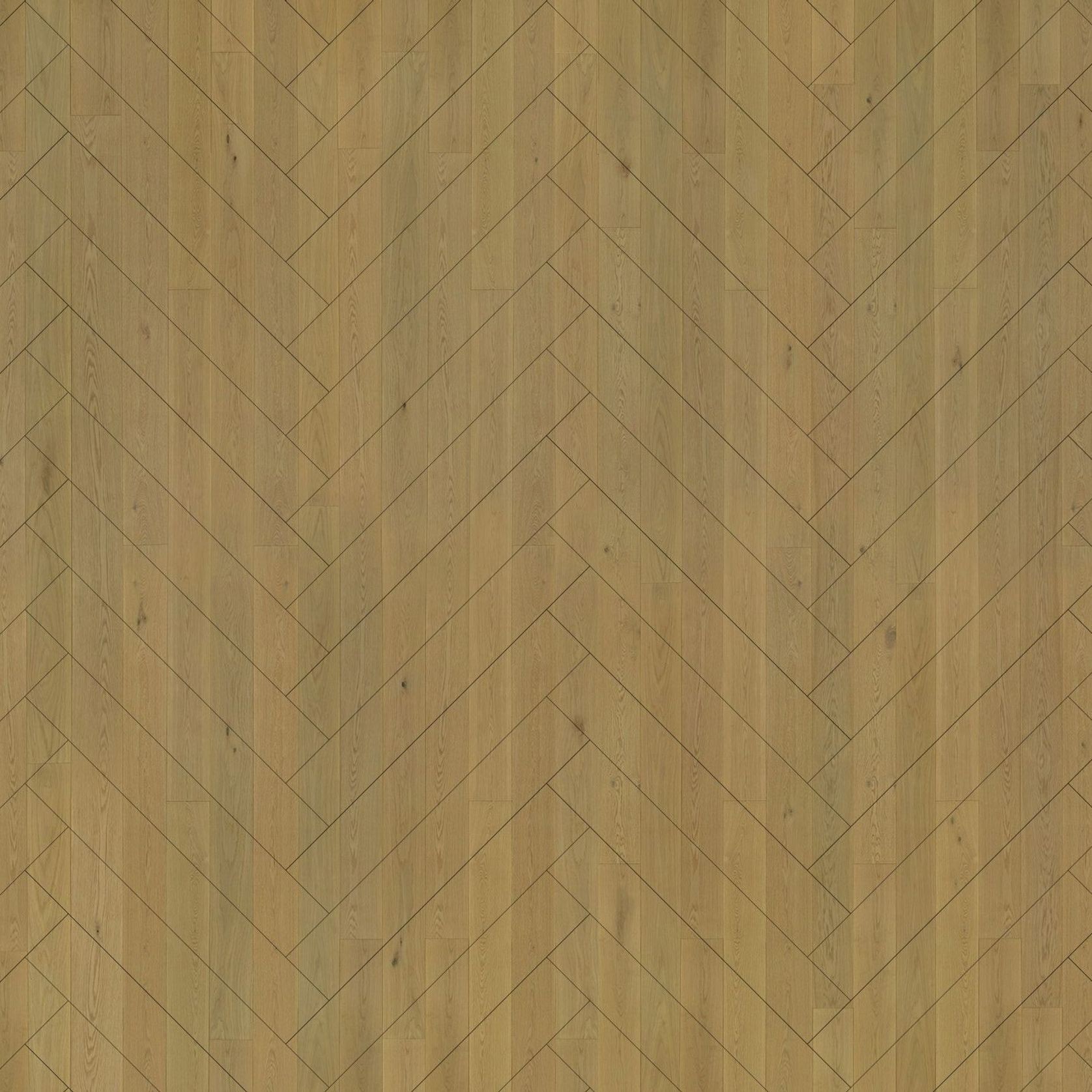 Graupa | Solid European Oak Floor Boards gallery detail image