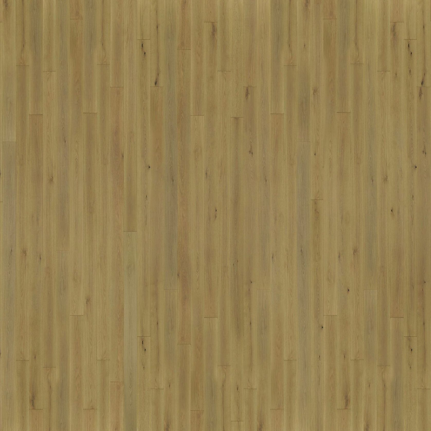 Alpacca | Solid European Oak Floor Boards gallery detail image