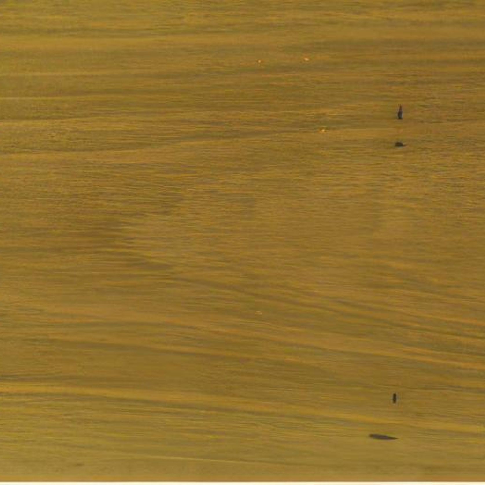 Hurford’s Traditional Flooring gallery detail image