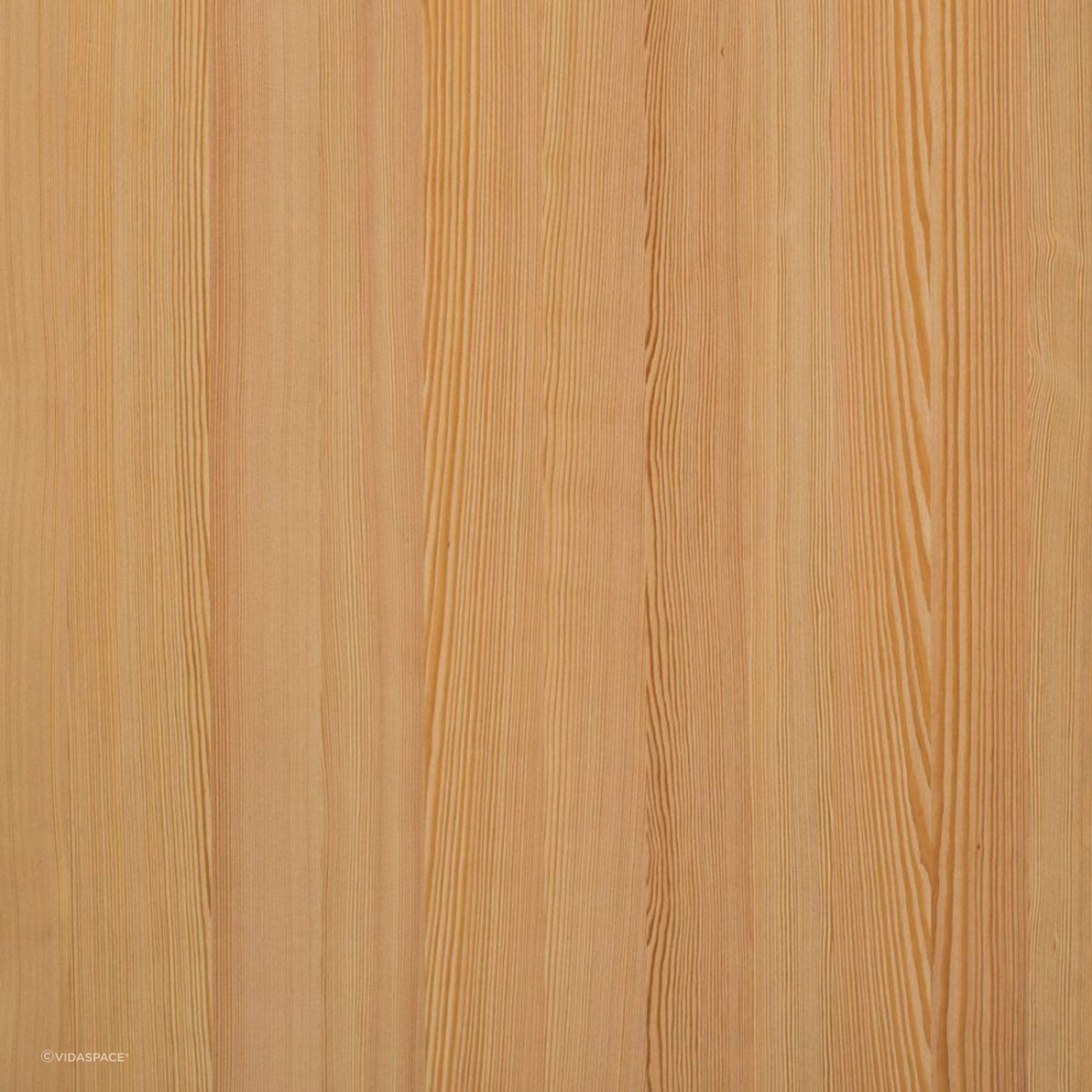 Spring Larch Nørdus Unfinished Timber Veneer gallery detail image