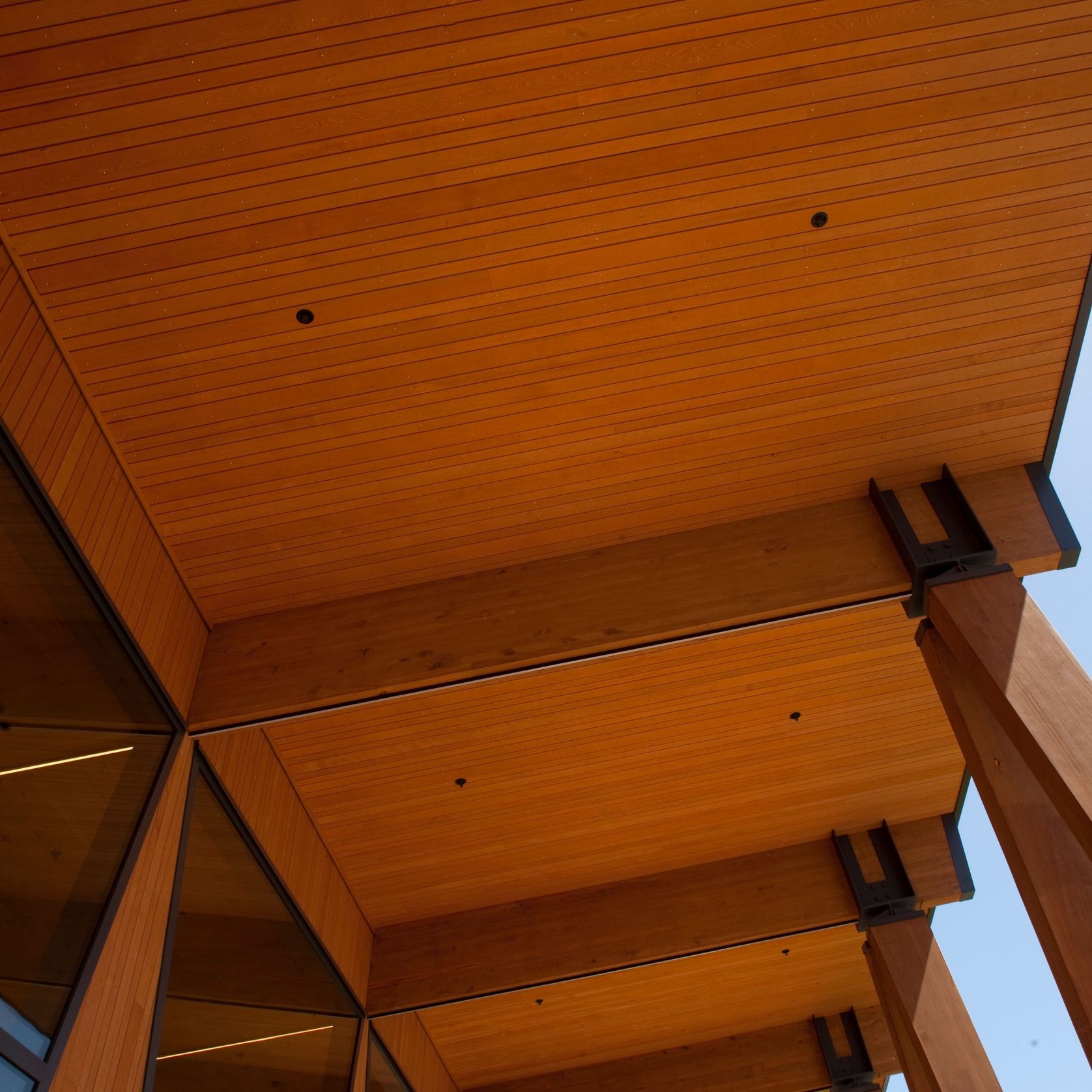 JSC Alaskan Yellow Cedar Timber gallery detail image