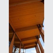 JSC Alaskan Yellow Cedar Timber gallery detail image