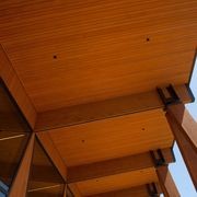 JSC Alaskan Yellow Cedar Timber gallery detail image