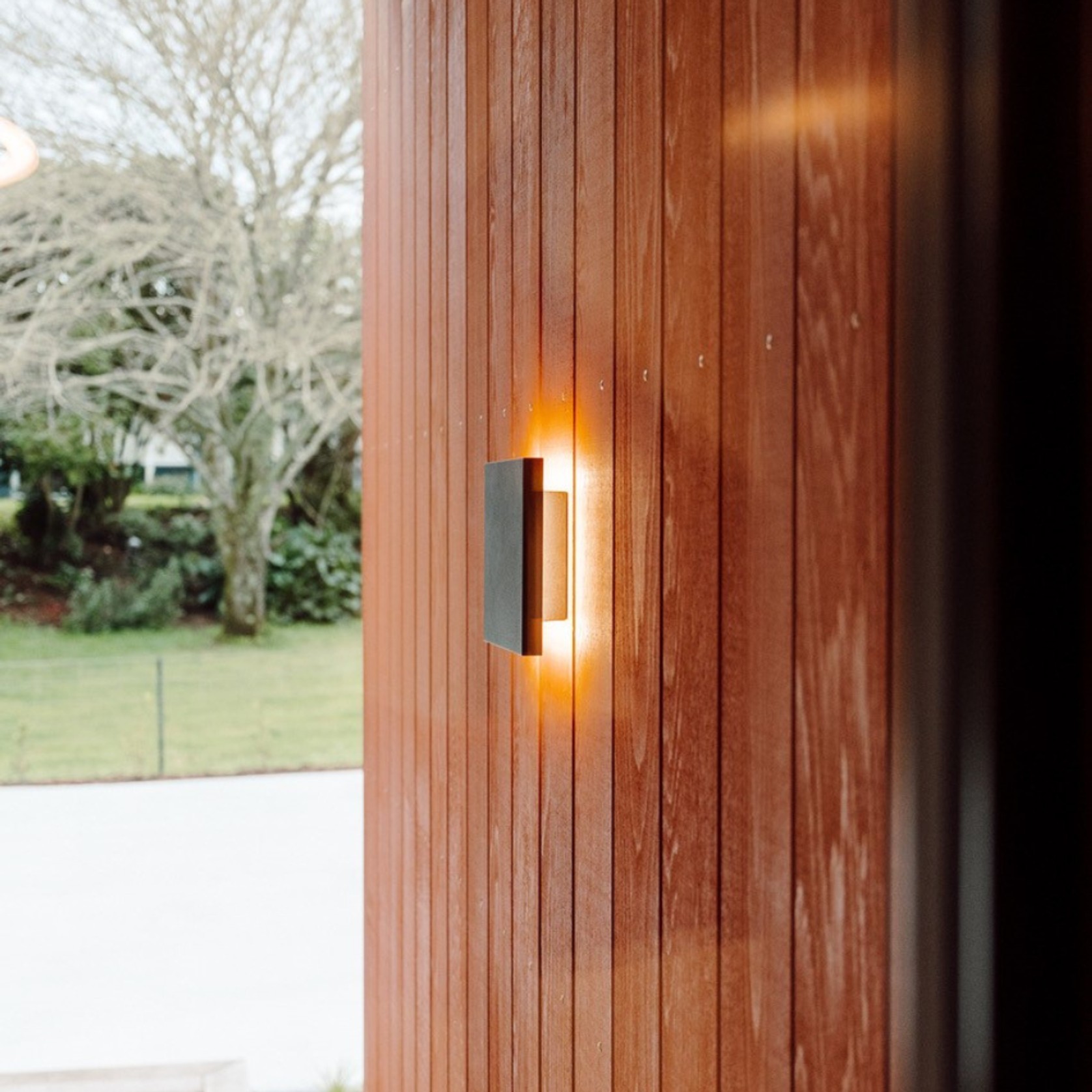 JSC Alaskan Yellow Cedar Timber gallery detail image