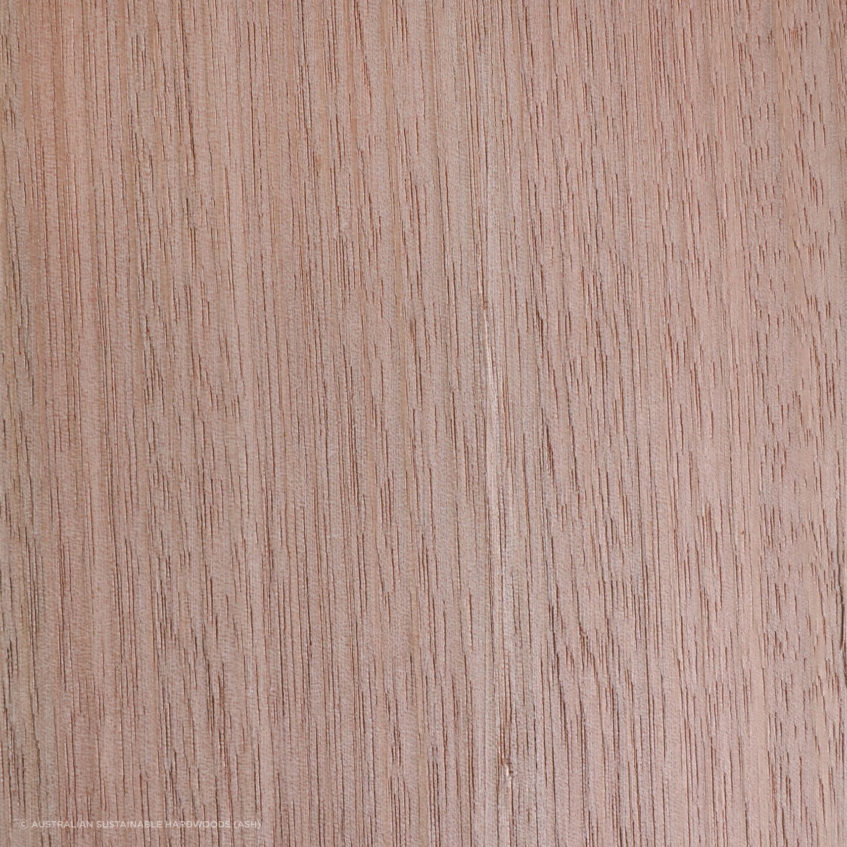 Australian Oak Timber gallery detail image