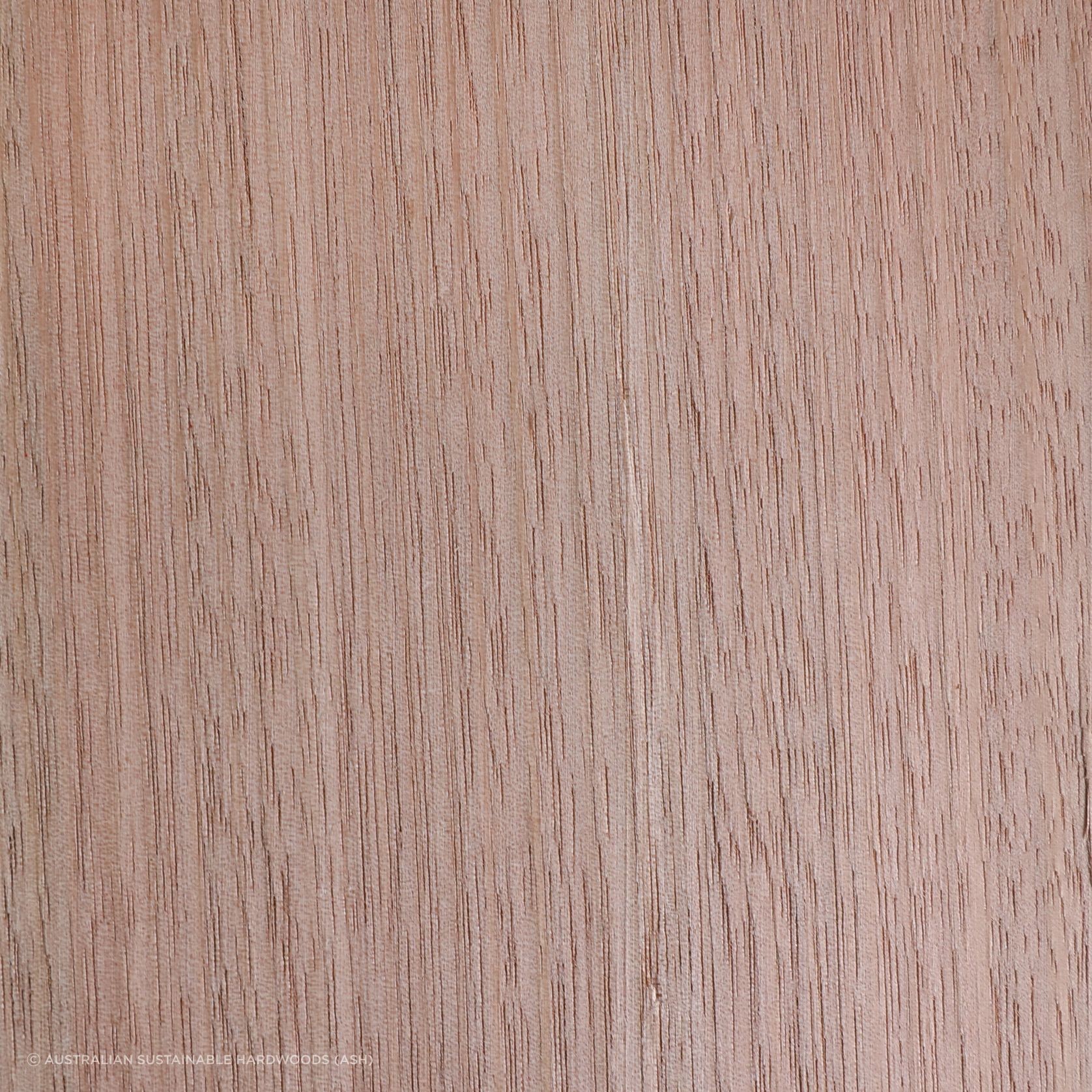 Australian Oak Timber gallery detail image