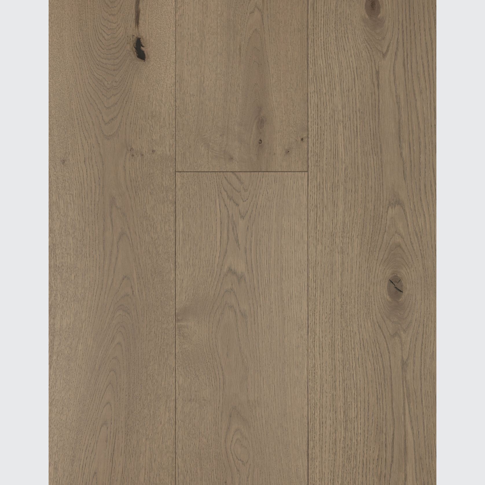 Moda Verona Feature gallery detail image