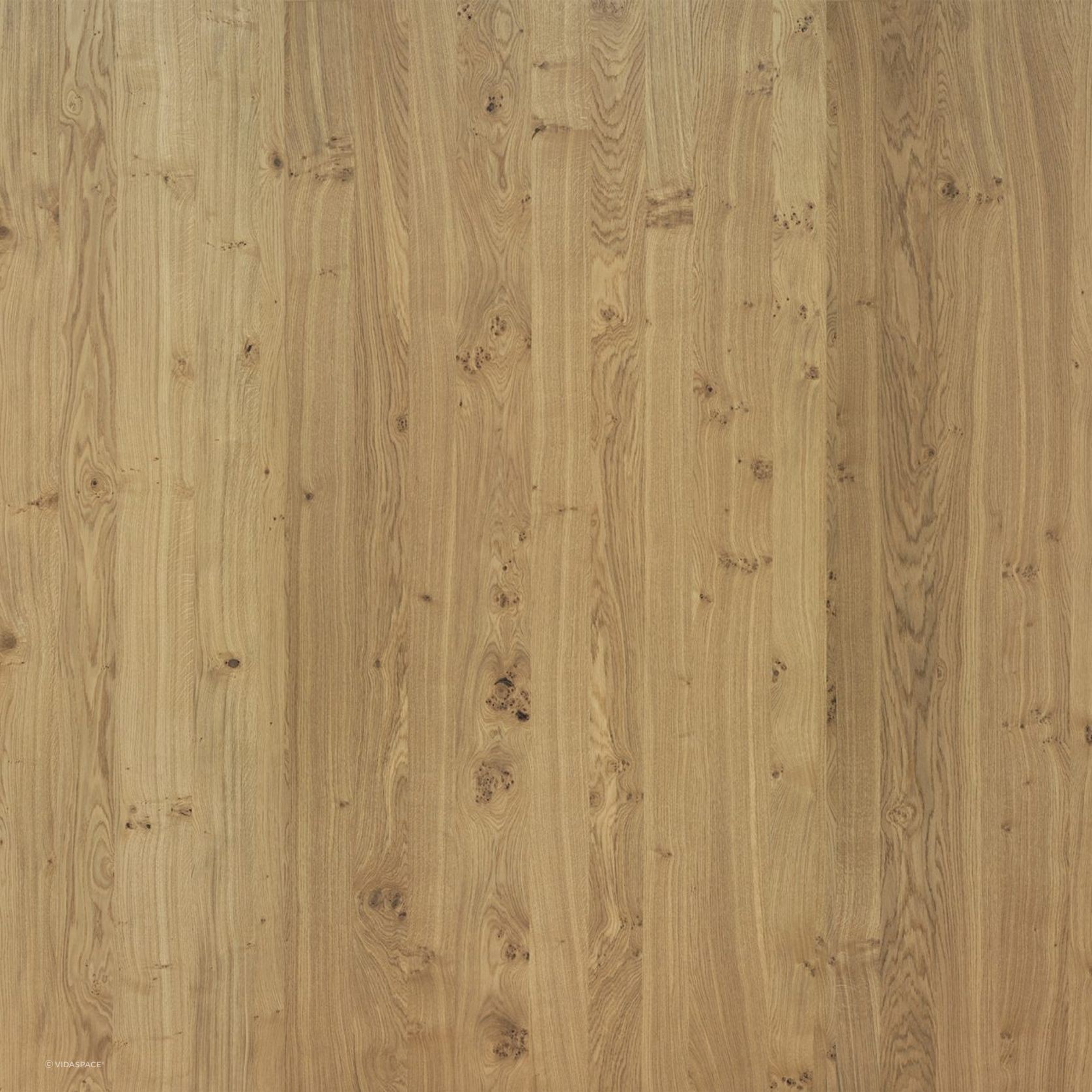 Natural Vivace Brushed Querkus Unfinished Timber Veneer gallery detail image