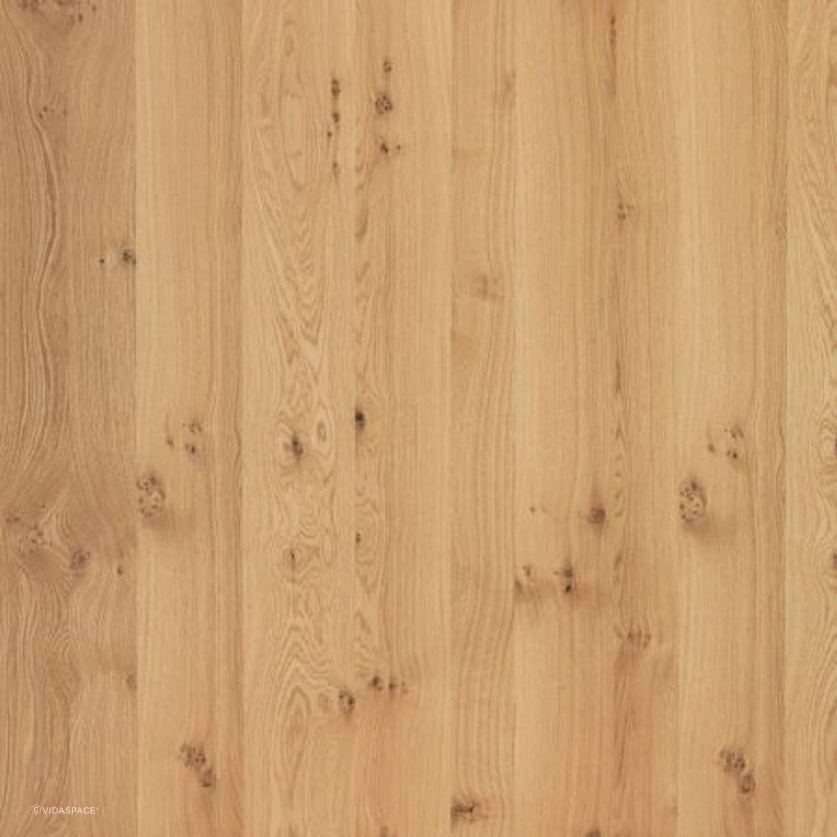 Natural Vivace Brushed Querkus Unfinished Timber Veneer gallery detail image