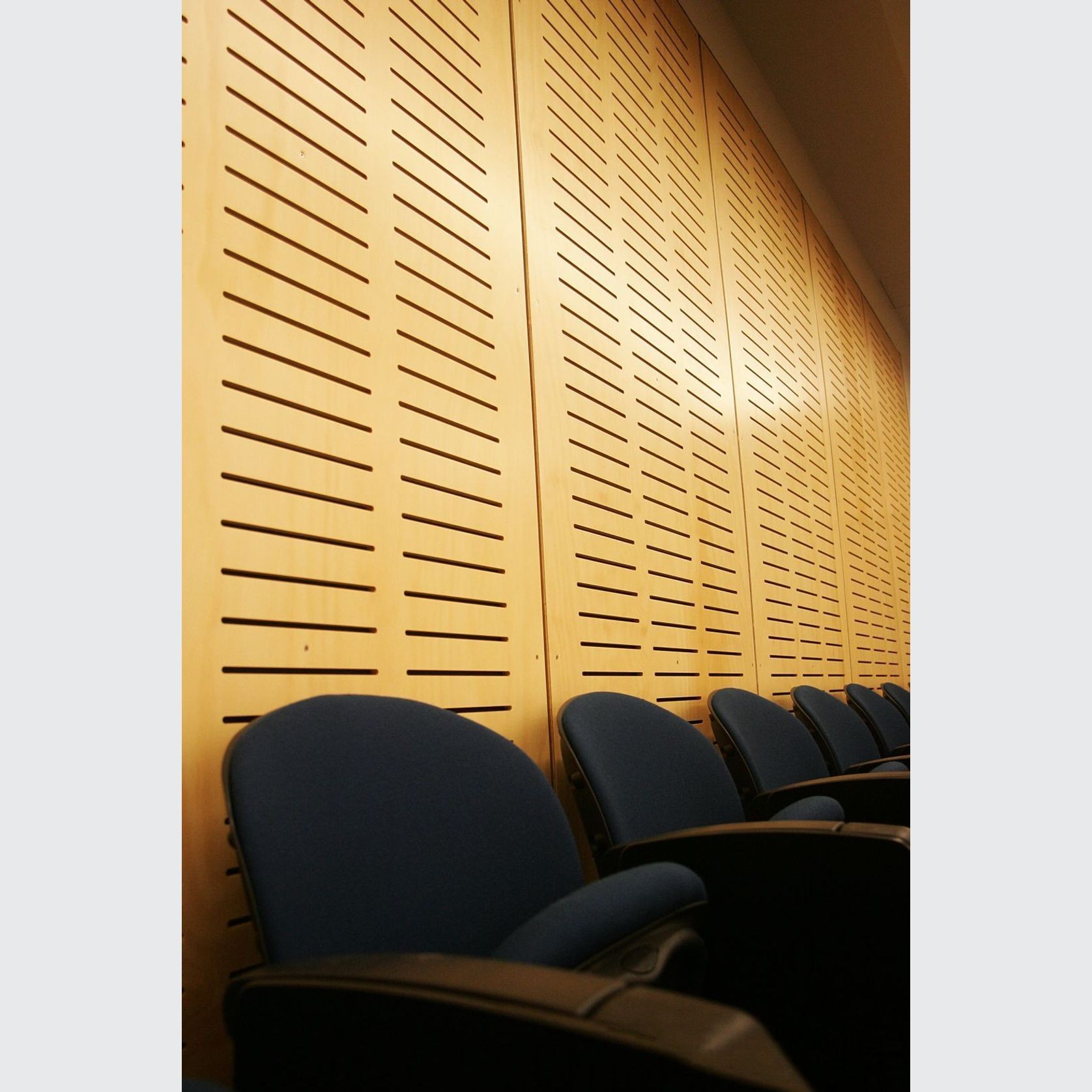 Austral Exterior | Versatile appearance grade plywood gallery detail image