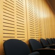Austral Exterior | Versatile appearance grade plywood gallery detail image