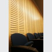 Austral Exterior | Versatile appearance grade plywood gallery detail image