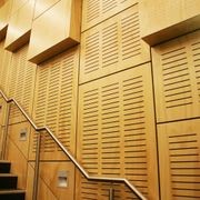 Austral Exterior | Versatile appearance grade plywood gallery detail image