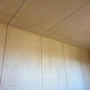 Rapidline Birch UV Plywood gallery detail image