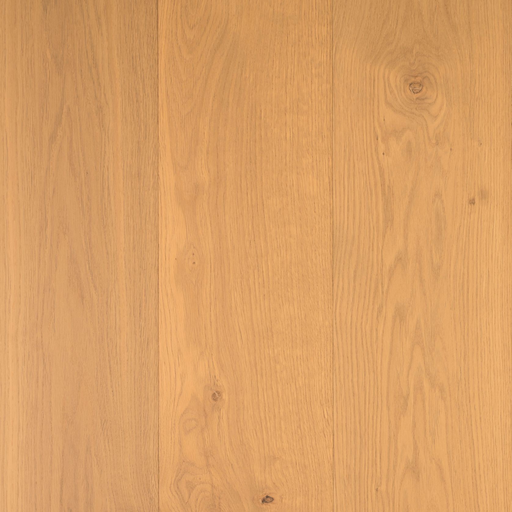 DOMO | TRUNK™ Timber Flooring | 220mm Wide Plank gallery detail image