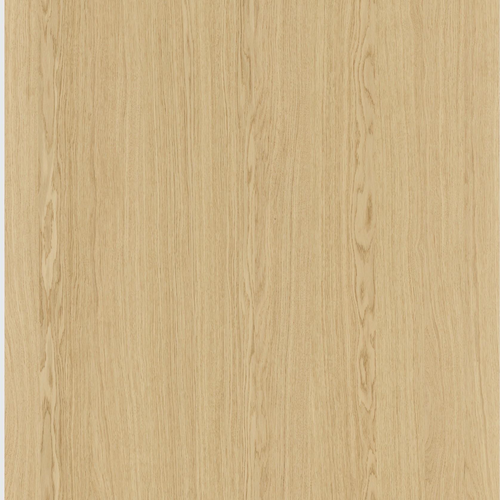 Ivory Oak Shinnoki Prefinished Timber Veneer gallery detail image