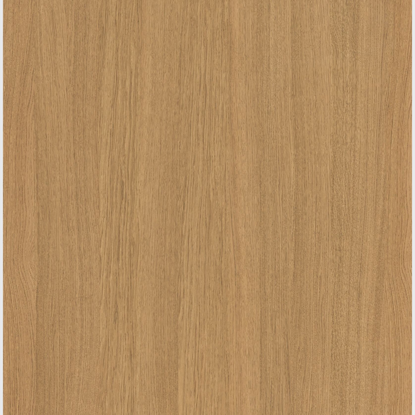 Sahara Oak Shinnoki Prefinished Timber Veneer gallery detail image