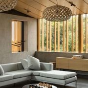 Australian Araucaria - Premium Timber Species gallery detail image