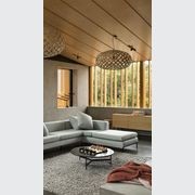 Australian Araucaria - Premium Timber Species gallery detail image