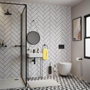 Toilet Brush + Holder Wall Mounted gallery detail image